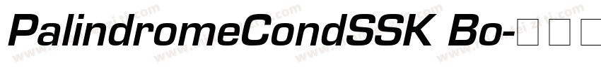 PalindromeCondSSK Bo字体转换